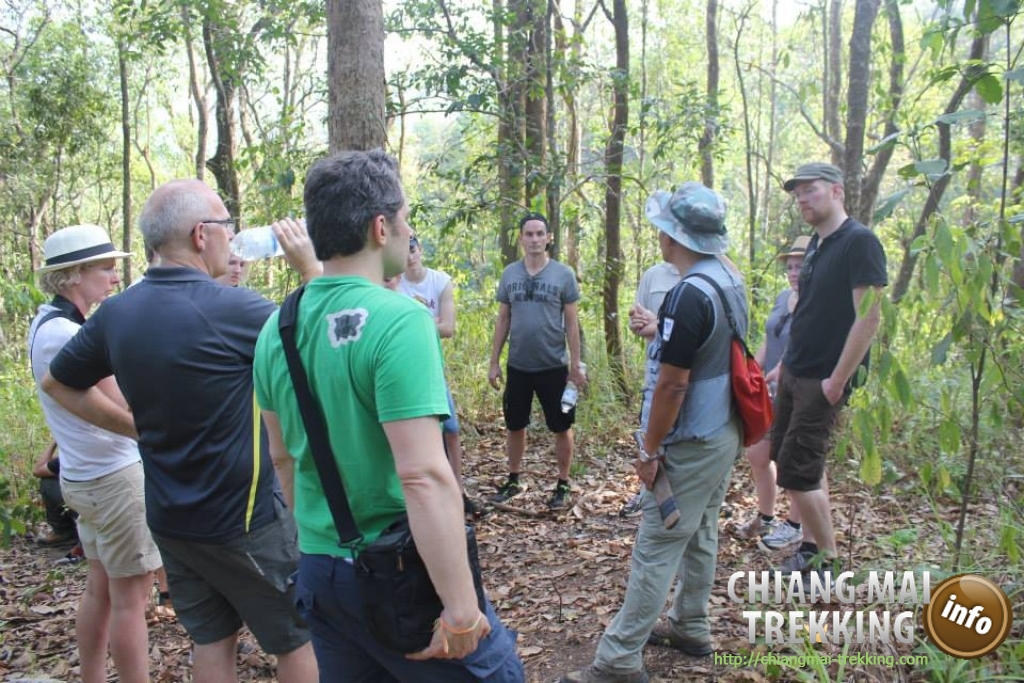 3-days/2-nights Trekking Tour | Chiang Mai Trekking | The best trekking in Chiang Mai with Piroon Nantaya